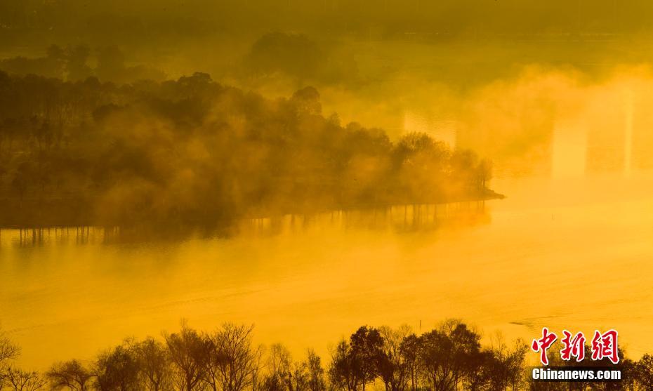 視頻網(wǎng)站如何破解會員_三折疊巔峰對決 三星能否終結(jié)華為無盡的寂寞