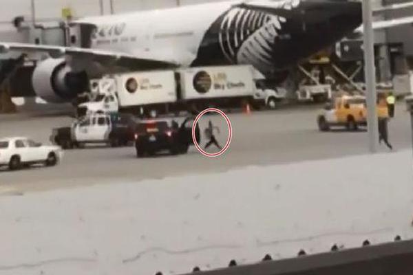 二〇二五年基本醫(yī)保及商保“雙目錄”公布