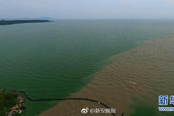 游戲源碼網(wǎng)站排行榜_樂清“失聯(lián)”男孩母親被判1年3個(gè)月 量刑過重？