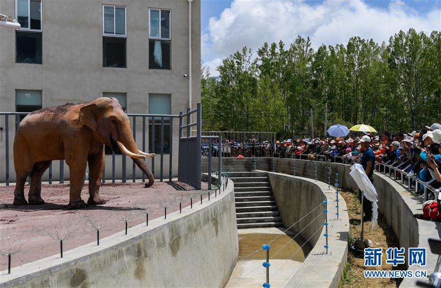 前主編Global丨外媒:邊境沖突再起…