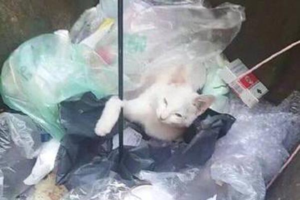 漏洞威脅按照嚴(yán)重度可以分為_(kāi)日方稱中方?jīng)]有提前通報(bào)訓(xùn)練海空域，外交部回應(yīng)