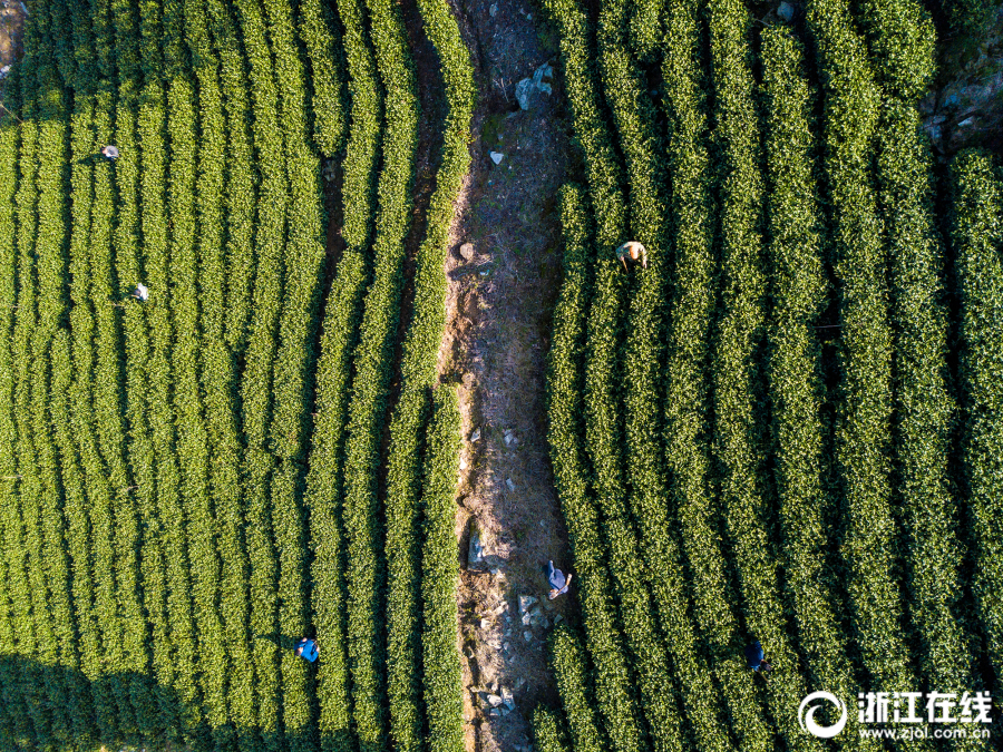 海南自由貿(mào)易港即將封關(guān)啟新程