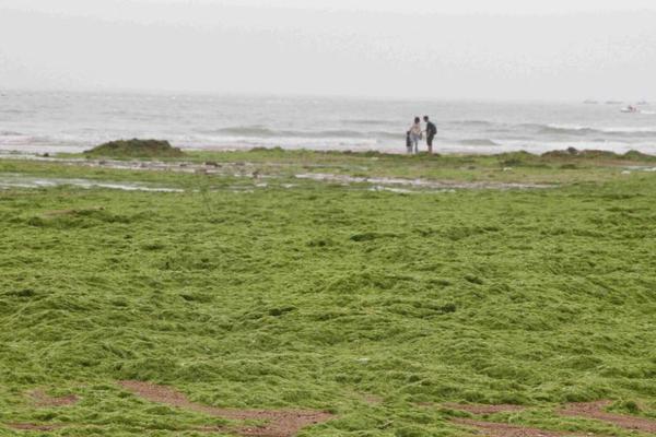 電腦圖片驗證碼顯示不出來怎么辦_庫杜斯：孫興慜是我們的榜樣，有點遺憾沒能和他踢更多比賽