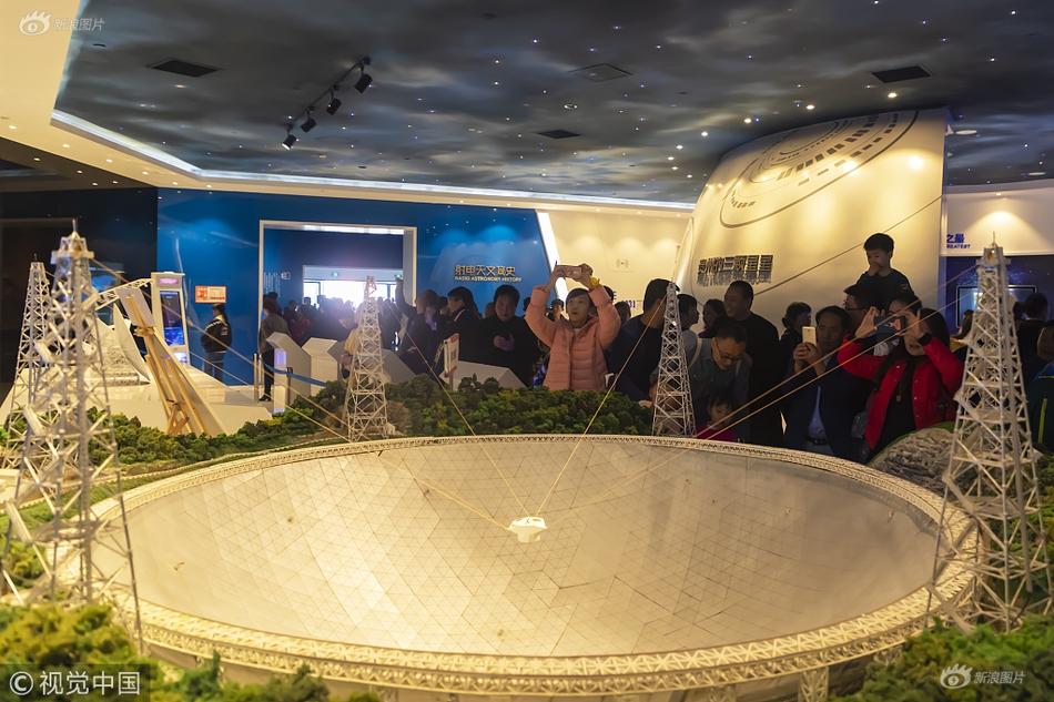 大象裝上假肢，開心的像個幾十噸孩子