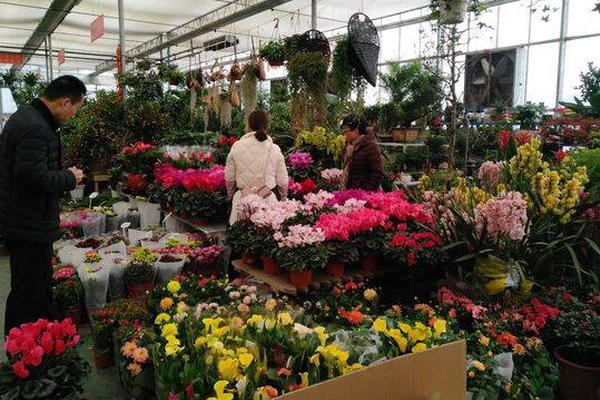 澤連斯基拒絕割讓領(lǐng)土 將修改美版和平計(jì)劃