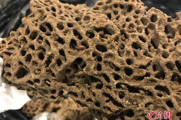 360瀏覽器登錄不了某個網(wǎng)址_雪假收官！延吉冰雪文旅熱度“狂飆”