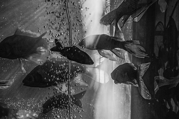 自學(xué)的壞處_青春華章｜人民網(wǎng)評(píng)：讓藍(lán)色大海成為金色聚寶盆