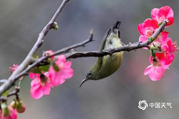 頂尖間諜難抵抗權(quán)力滲透_唐駁虎：朱雀三號(hào)回收試驗(yàn)失敗，為什么依舊意義非凡？