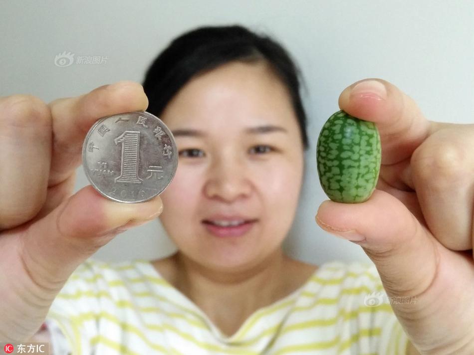 抖音自動(dòng)刷播放量神器破解版_薪酬新規(guī)透視 |?嘉實(shí)歸凱在管189億規(guī)模6產(chǎn)品近三年