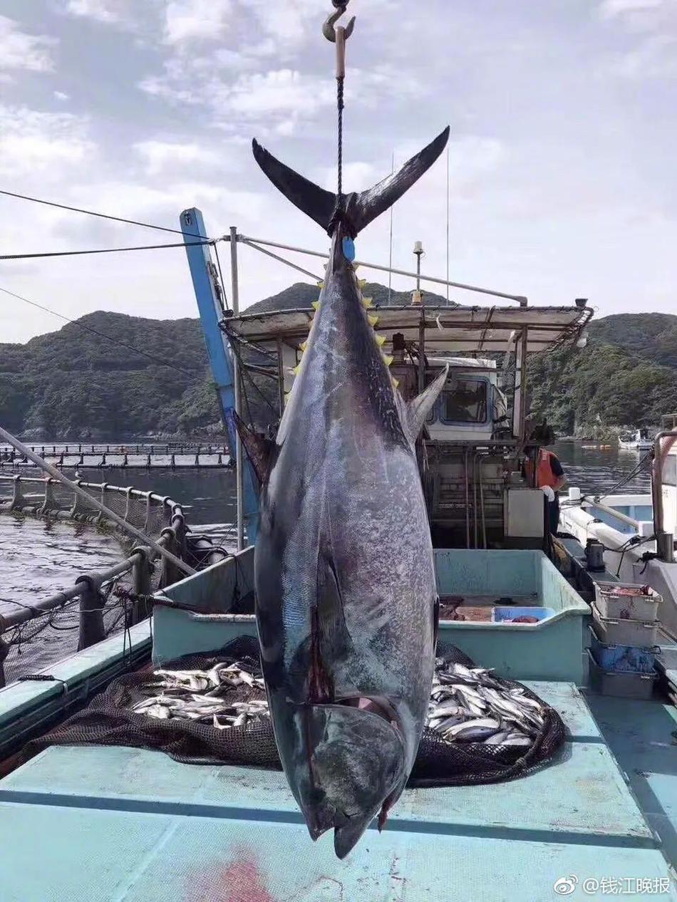 名稱怎么_這一年，經(jīng)濟運行總體平穩(wěn)、穩(wěn)中有進