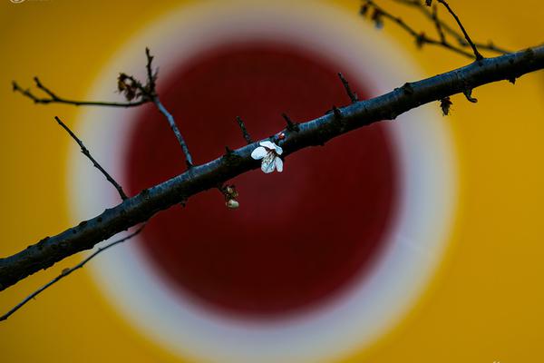 婉兒別鬧付費內(nèi)容分享_冰雪經(jīng)濟高質(zhì)量發(fā)展新觀察