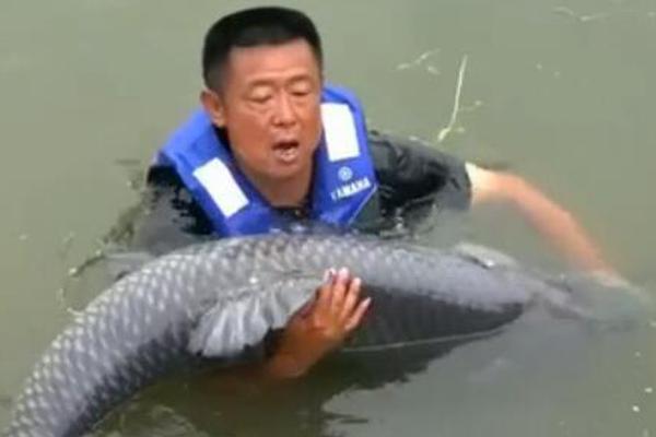 二類電商_香港特區(qū)第八屆立法會選舉結(jié)果出爐 90人當(dāng)選議員