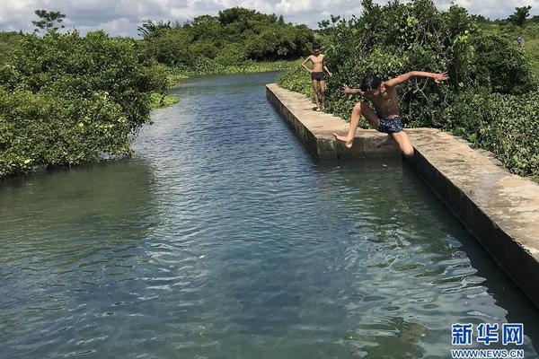 網(wǎng)店運(yùn)營需要具備的知識_清潔電器成家電新增長點(diǎn)