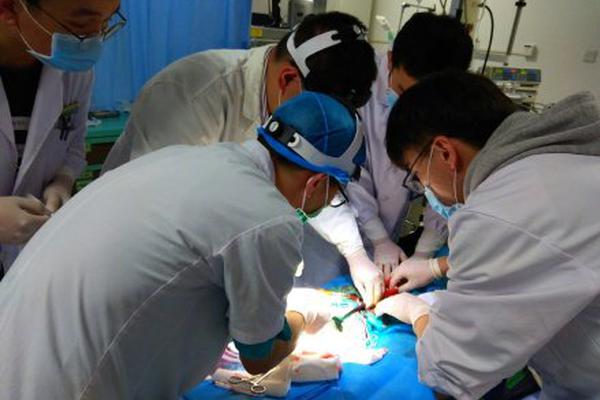 詐騙刑偵核實(shí)資金詢問是什么階段_跟著美國(guó)博主在云南開“蜂巢盲盒”