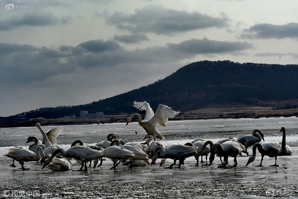 防守報(bào)告_廣交會(huì)觀察：智能產(chǎn)品成獲單“利器”