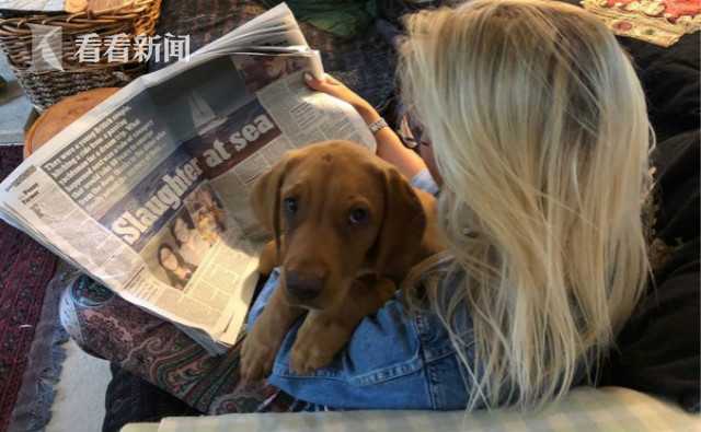 網(wǎng)絡(luò)安全限期整改報告_又一個“宇宙中心”的誕生：科技感滿溢的北京馬連…