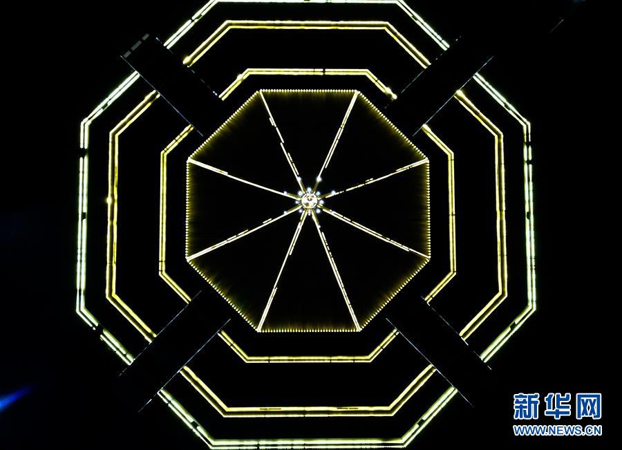 支付寶安全還是微信存錢(qián)安全_香港故事丨守護(hù)共同記憶——香港百歲古樹(shù)“扶正”記