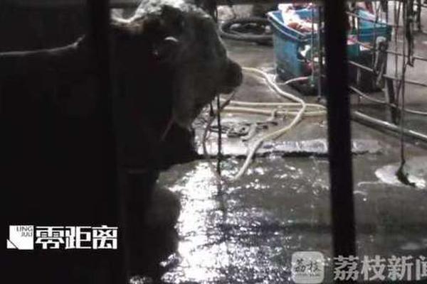 網(wǎng)絡(luò)工程轉(zhuǎn)網(wǎng)絡(luò)安全_國臺(tái)辦回應(yīng)我軍部署100余艘艦艇