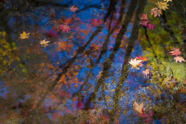 cdn服務(wù)器怎么盈利_美國(guó)海軍：承認(rèn)曾擊落美軍戰(zhàn)機(jī)