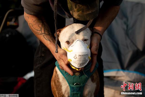 cdn技術(shù)詳解電子版_歐盟調(diào)查谷歌利用網(wǎng)絡(luò)內(nèi)容支持AI服務(wù)是否違規(guī)