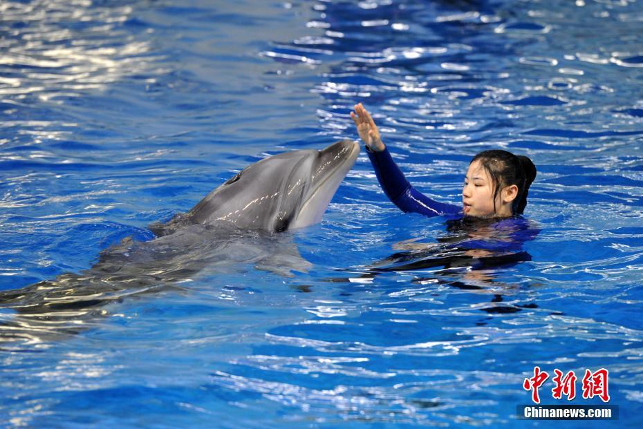 梅西大戰(zhàn)穆勒??美職聯(lián)總決賽：12月7日3點30邁阿密國際主場vs溫哥華白浪