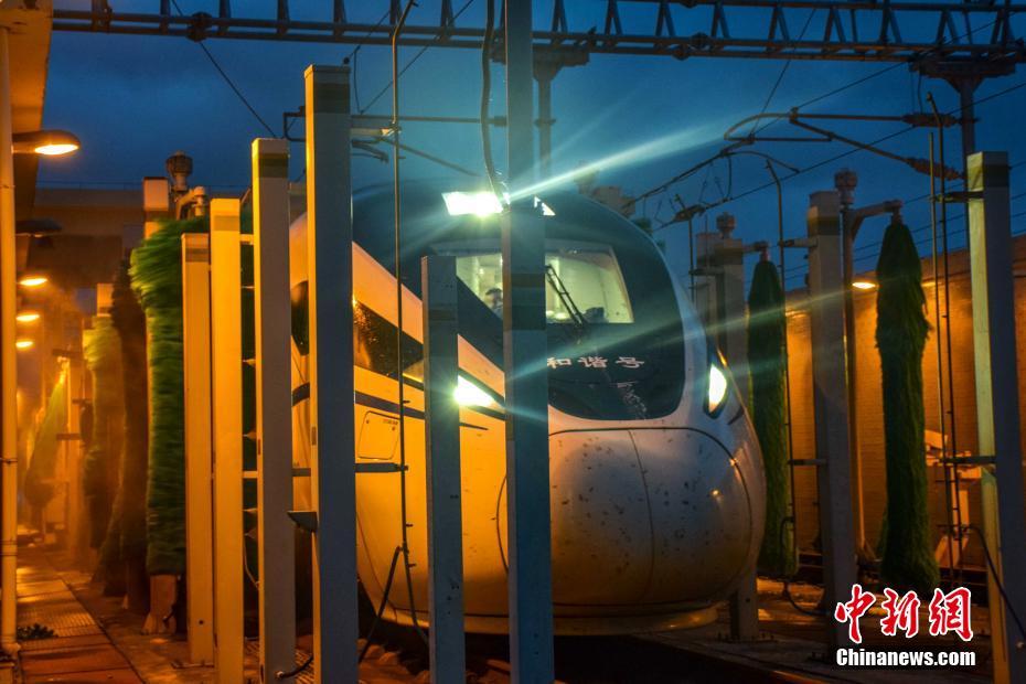 這棵140歲落葉松救活一片荒漠