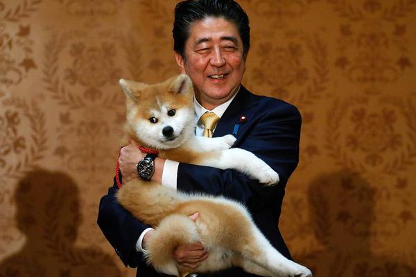 鐘馗之眼下載安裝_地球黃金估計4億億噸，為啥黃金還那么貴