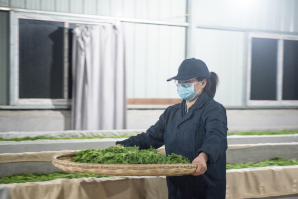 360游戲修復(fù)工具下載_警惕乳腺報(bào)告五大信號警報(bào)！