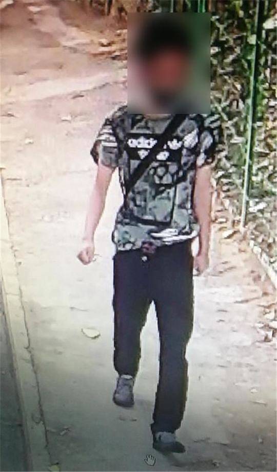 拼多多背后是誰在撐腰_全球跑得最快機器人，是中國產的