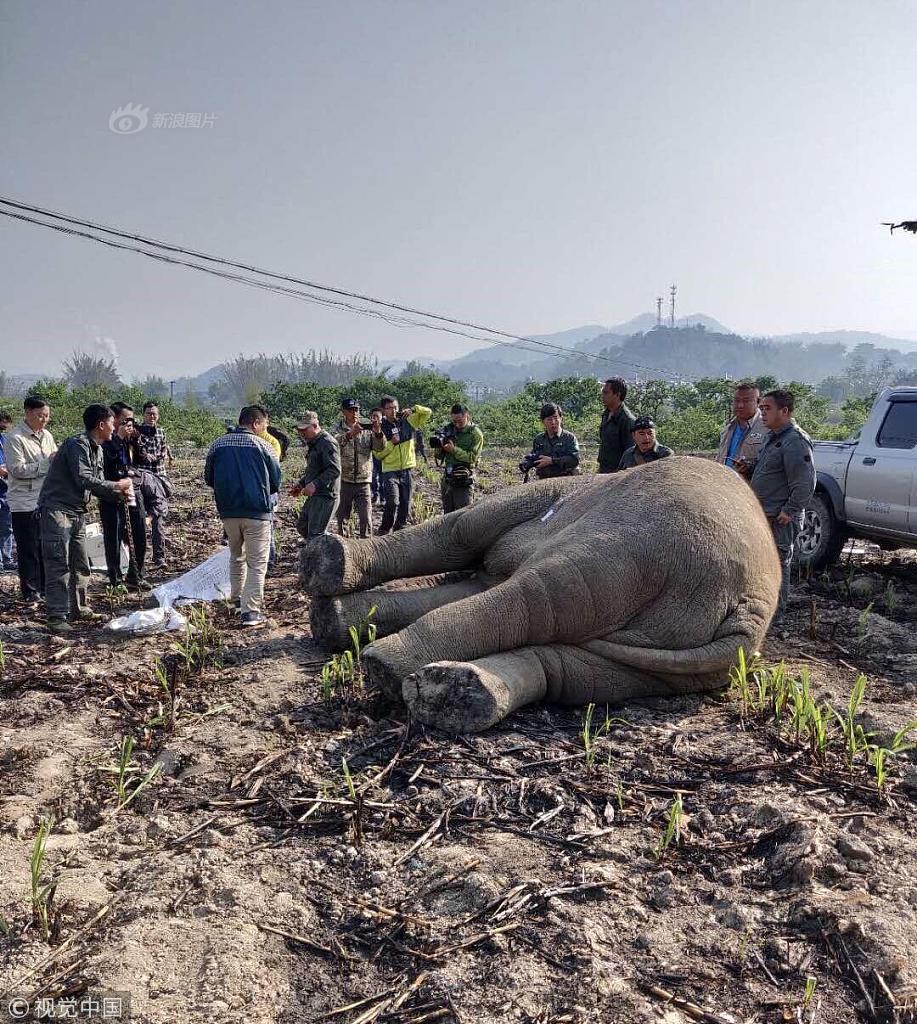 國(guó)外比特幣交易網(wǎng)站_貝殼董事長(zhǎng)彭永東出售股票用以捐贈(zèng)，系上市以來(lái)首次減持