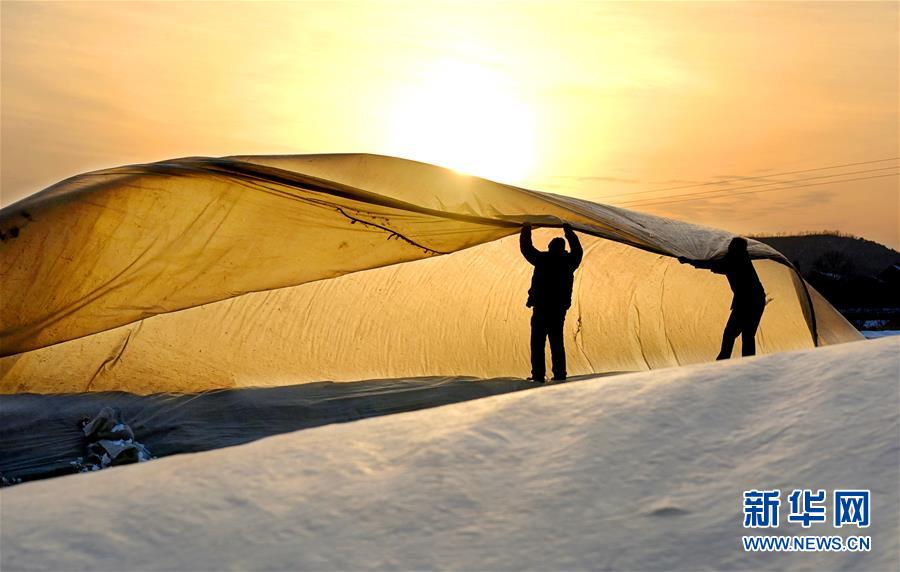 “哈佛難民”的恐怖五月
