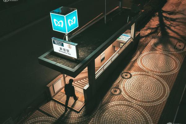 網(wǎng)頁中加百度和so搜索源碼_國家級美麗海灣優(yōu)秀案例 15載“海底造林”讓三亞海棠煥新