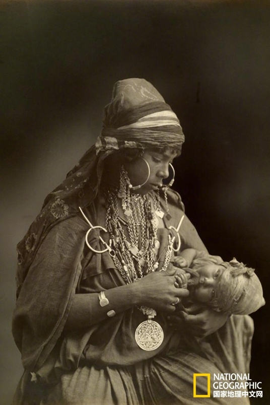 網頁抓取工具webclawer_猛龍主帥：珀爾特爾要找回搶籃板和轉換進攻中不失誤的節(jié)奏