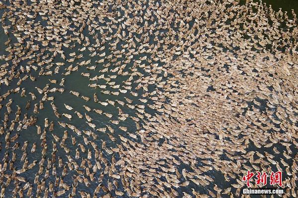 ip地址轉(zhuǎn)為二進(jìn)制_三折疊巔峰對決 三星能否終結(jié)華為無盡的寂寞