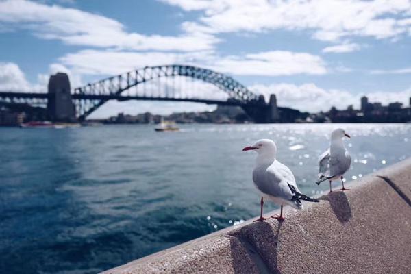 java sha1解密_“保暖的神”——羽絨服也漸漸走向潮流中心