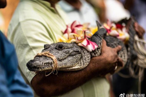 javascript入門教程_【厄敵】即使記憶消散，我也會(huì)一次次奔向你