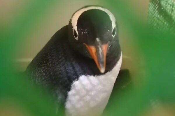 win2008遠程桌面漏洞_如何看待“投資于人”的效益？