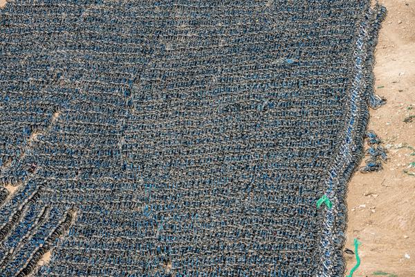 生母將新生兒棄在便坑，檢察院支持起訴撤銷其監(jiān)護人資格