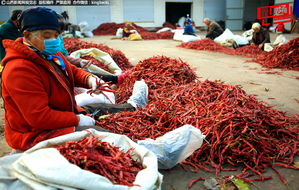 java和php那個(gè)用來(lái)開(kāi)發(fā)網(wǎng)站更好_抓好這項(xiàng)戰(zhàn)略性、基礎(chǔ)性工作，總書(shū)記強(qiáng)調(diào)各方形成合力