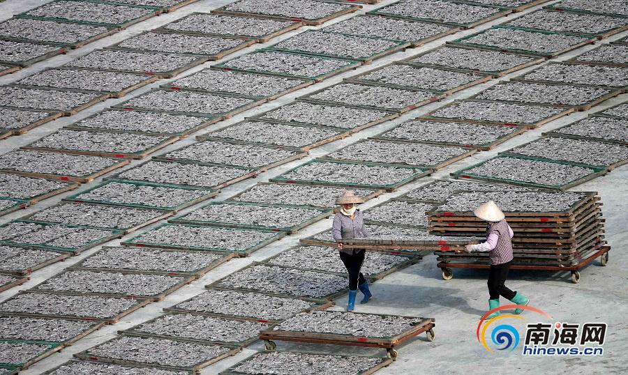 wordpress 源碼_為何網(wǎng)友不再相信張柏芝的“故事”？