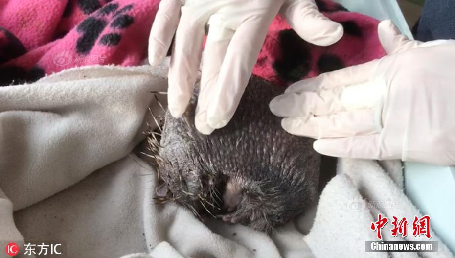 kibana配置文件_打防管控筑屏障 暖心服務(wù)惠民生