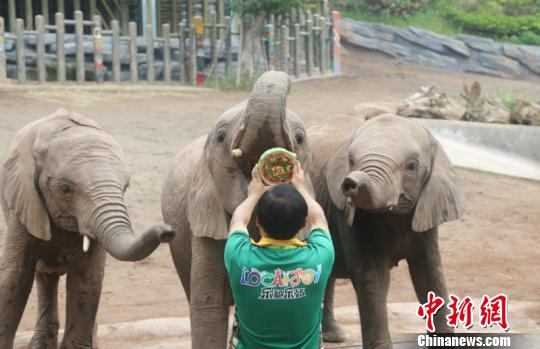 如何繼續(xù)訪問(wèn)不安全網(wǎng)站_賈青被曝與小8歲仝卓戀愛(ài)同居