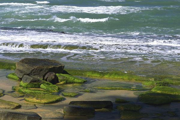 極客云官網(wǎng)登錄入口網(wǎng)頁版_看懂關系到每個人的中央經(jīng)濟工作會議