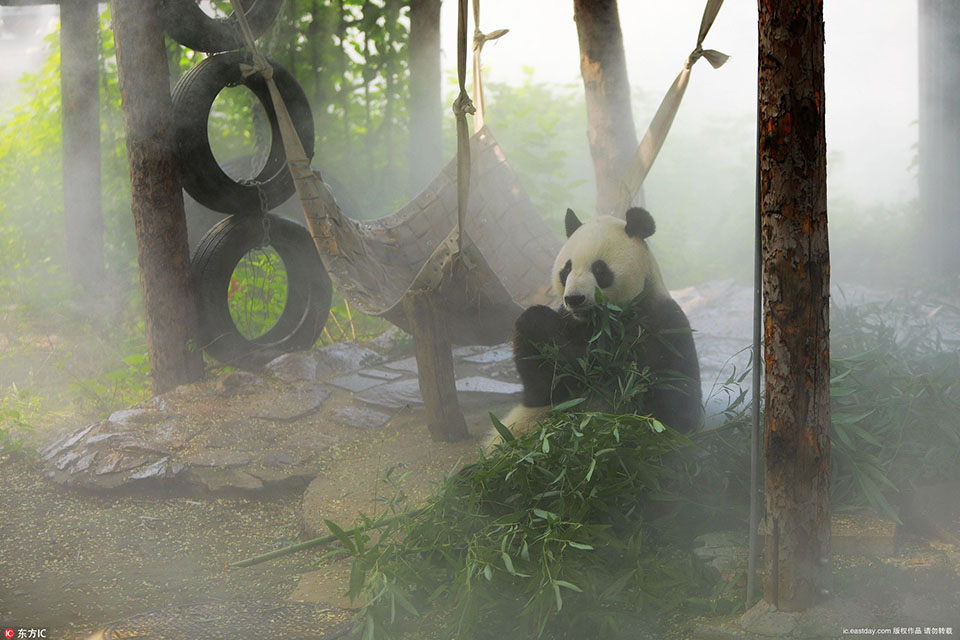 如何解決個人信息泄露問題_全球汽車產(chǎn)業(yè)力量版圖重新洗牌