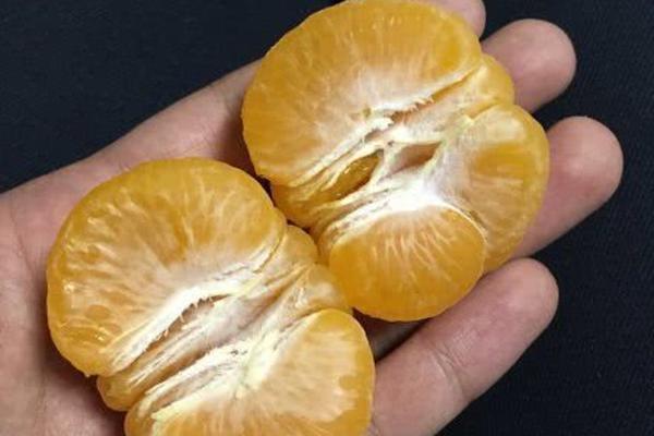 加密ts視頻怎么解密_3人疑在鄱陽湖毒害候鳥，警方通報