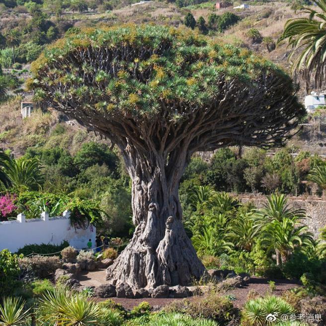 開辟產業(yè)發(fā)展新領域新賽道