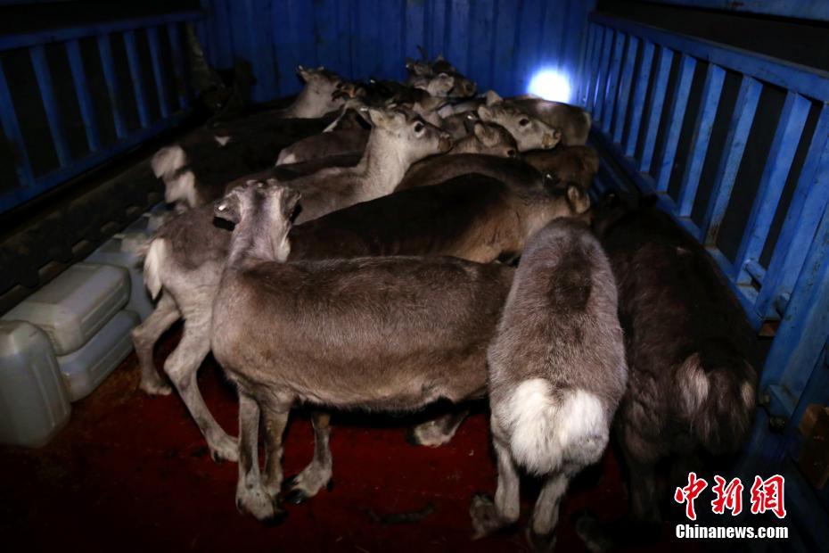 不安全網(wǎng)站怎么變成安全_柬方：愿立即與泰國(guó)舉行?；饡?huì)談