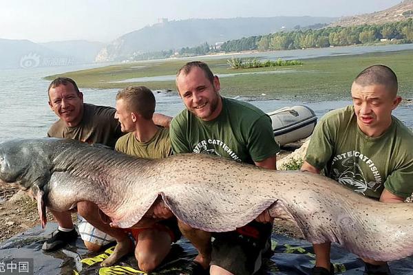 銘記歷史，吾輩當(dāng)自強(qiáng)（感言）