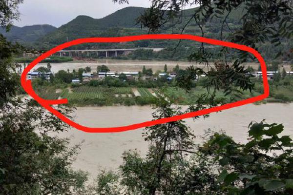 中國(guó)品牌拿下印度手機(jī)市場(chǎng)66%份額 自拍相機(jī)受歡迎