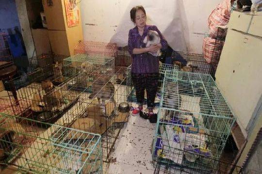 國(guó)航今年已新開、復(fù)航12條國(guó)際航線